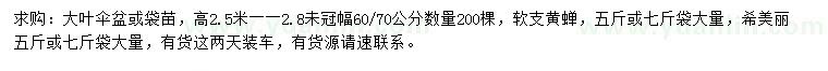 求購大葉傘、軟支黃蟬、希美麗