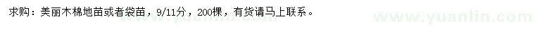 求購9、11公分美麗木棉