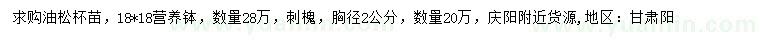 求購油松杯苗