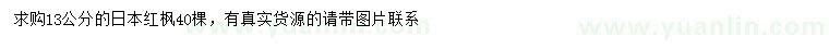 求購13公分日本紅楓