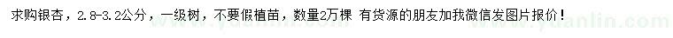 求購2.8-3.2公分銀杏