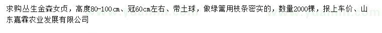 求購(gòu)高80-100公分叢生金森女貞