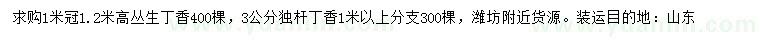 求購(gòu)高1.2米叢生丁香、3公分獨(dú)桿丁香