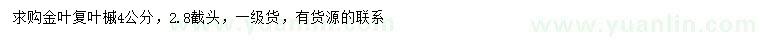 求購4公分金葉復(fù)葉槭