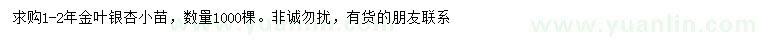 求購(gòu)1-2年金葉銀杏小苗