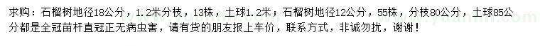 求購地徑12、18公分石榴樹