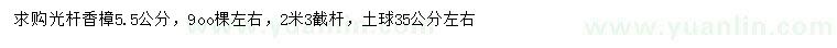 求購5.5公分光桿香樟