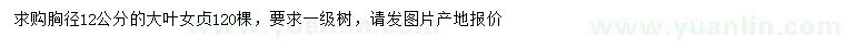 求購胸徑12公分大葉女貞