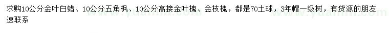 求購金葉白蠟、五角楓、高接金葉槐等