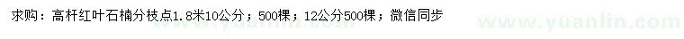 求購(gòu)10、12公分高桿紅葉石楠