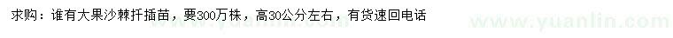 求購高30公分左右大果沙棘扦插苗