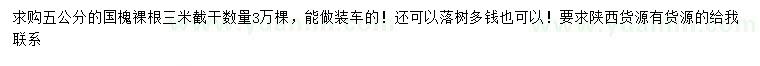 求購5公分國槐