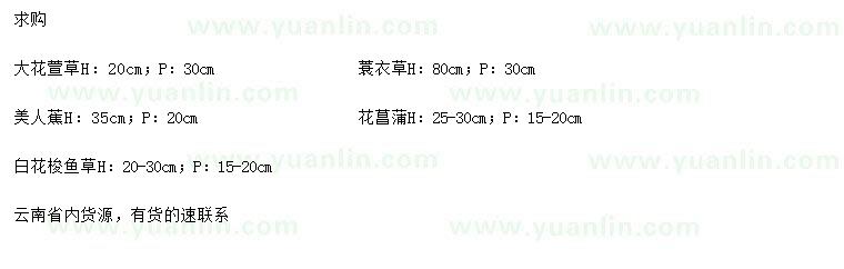 求購大花萱草、蓑衣草、美人蕉等