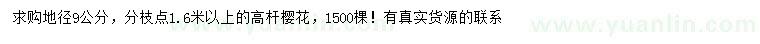 求購地徑9公分高桿櫻花