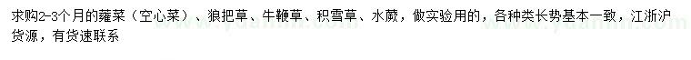 求購(gòu)蕹菜、狼把草、牛鞭草等