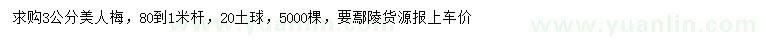 求購3公分美人梅