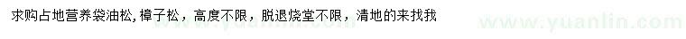 求購(gòu)油松、樟子松