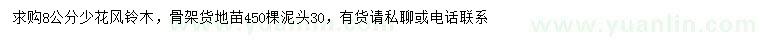 求購8公分少花風(fēng)鈴木