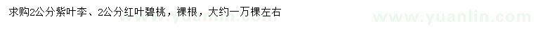求購2公分紫葉李、紅葉碧桃