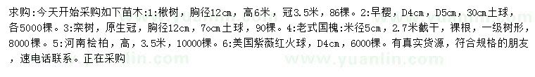 求購楸樹、早櫻、欒樹等