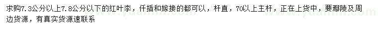 求購(gòu)7.3-7.8公分紅葉李