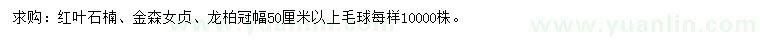 求購紅葉石楠、金森女貞、龍柏