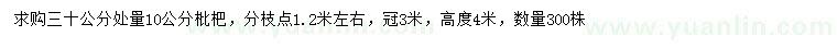 求購30公分量10公分枇杷