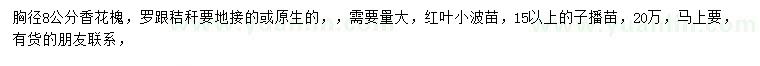 求購胸徑8公分香花槐