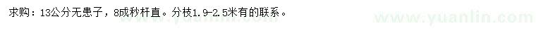 求購13公分無患子