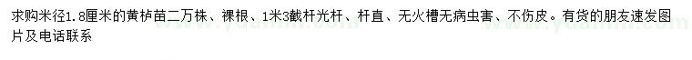求購(gòu)米徑1.8公分黃櫨苗