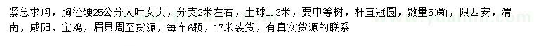 求購胸徑25公分大葉女貞