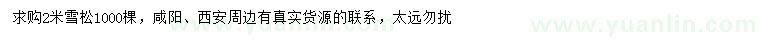 求購2米雪松