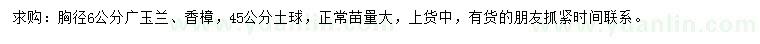 求購(gòu)胸徑6公分廣玉蘭、香樟