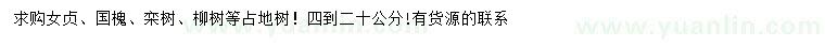 求購(gòu)女貞、欒樹(shù)、柳樹(shù)等