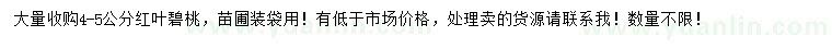 求購4-5公分紅葉碧桃