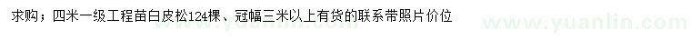 求購4米白皮松