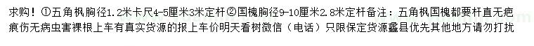 求購(gòu)胸徑1.2米量4-5公分五角楓、9-10公分國(guó)槐