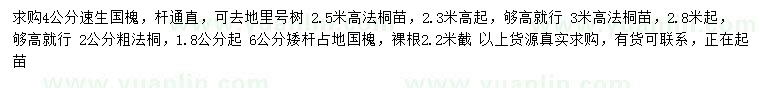 求購速生國槐、法桐、國槐