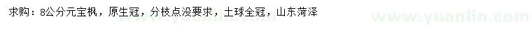 求購8公分元寶楓