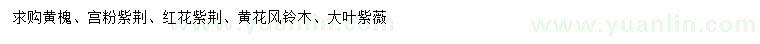 求購黃槐、宮粉紫荊、紅花紫荊等