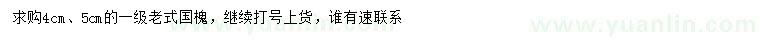 求購4、5公分老式國槐