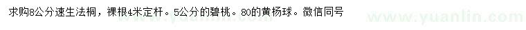 求購速生法桐、碧桃、黃楊球