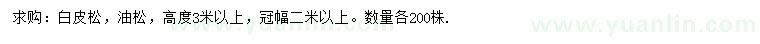 求購高3米以上白皮松、油松