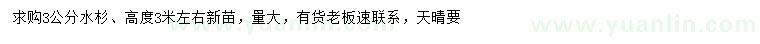 求購3公分水杉