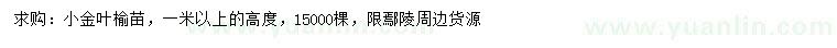 求購高1米以上金葉榆小苗