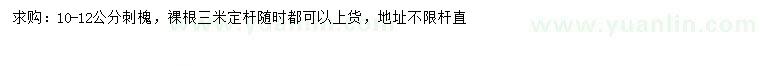 求購10-12公分刺槐