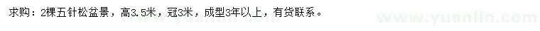 求購(gòu)高3.5米五針?biāo)? />
                        <br />
                        <label style=