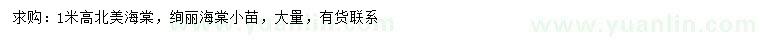 求購(gòu)高1米北美海棠、絢麗海棠小苗