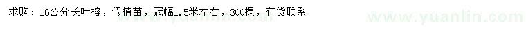 求購(gòu)16公分長(zhǎng)葉榕