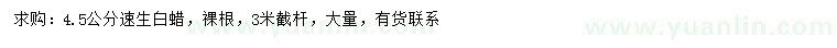 求購4.5公分速生白蠟